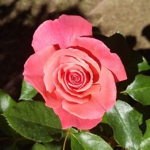 10% off on all bundles!!